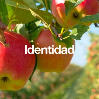 Identidad_Enfasis