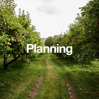 Planning_Enfasis